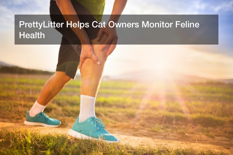 PrettyLitter Helps Cat Owners Monitor Feline Health