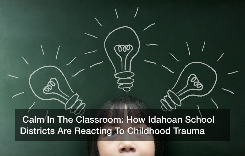 Calm In The Classroom: How Idahoan School Districts Are Reacting To Childhood Trauma