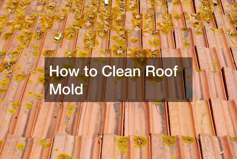 How to Clean Roof Mold