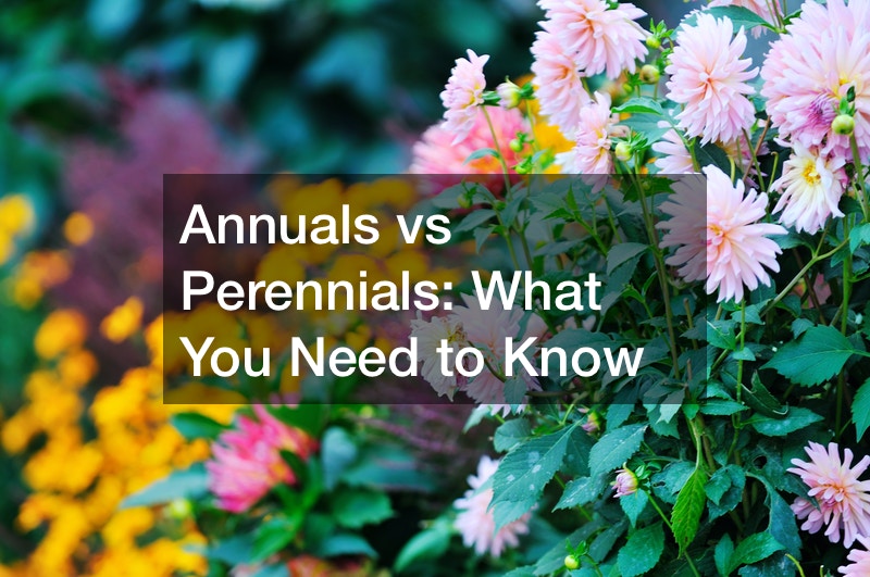 Annuals vs Perennials What You Need to Know
