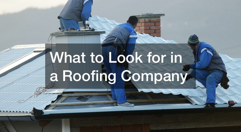 What to Look for in a Roofing Company