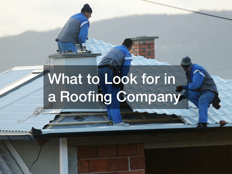 What to Look for in a Roofing Company