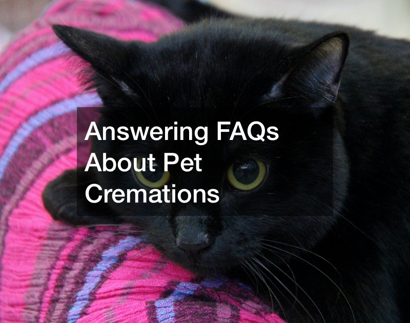 Answering FAQs About Pet Cremations