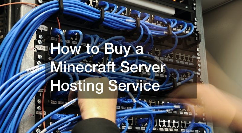 How to Buy a Minecraft Server Hosting Service