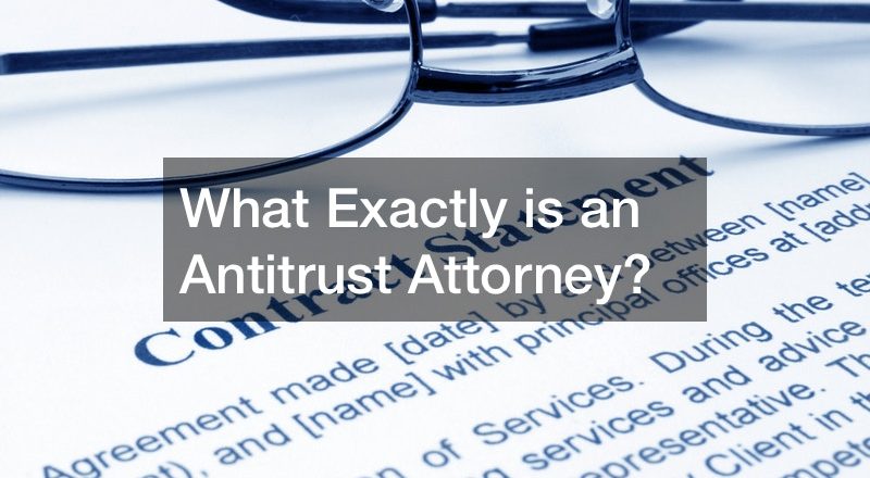 What Exactly is an Antitrust Attorney?