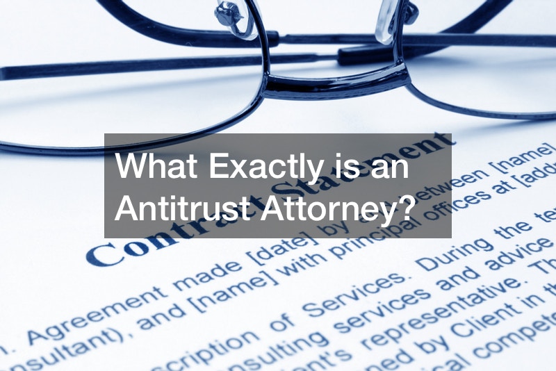 What Exactly is an Antitrust Attorney?