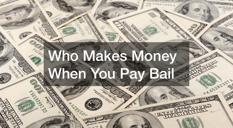 Who Makes Money When You Pay Bail