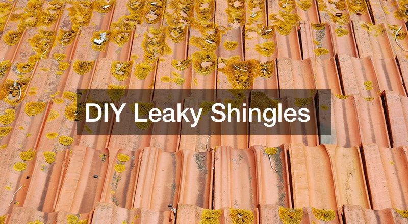 DIY Leaky Shingles