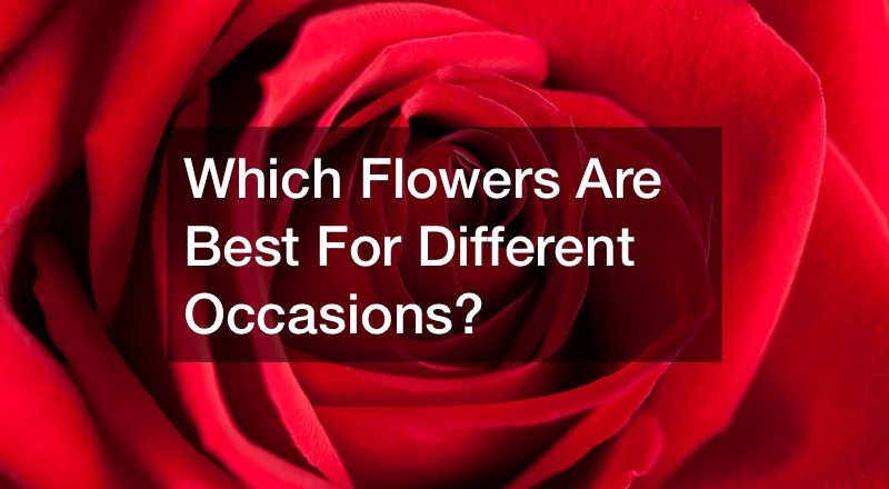 Which Flowers Are Best For Different Occasions?