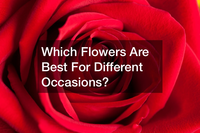 Which Flowers Are Best For Different Occasions?