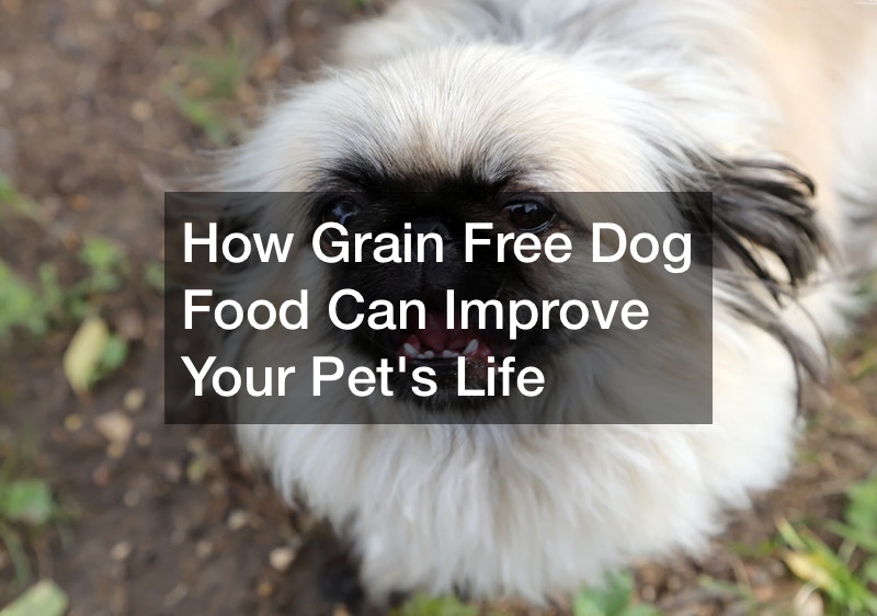 How Grain Free Dog Food Can Improve Your Pets Life