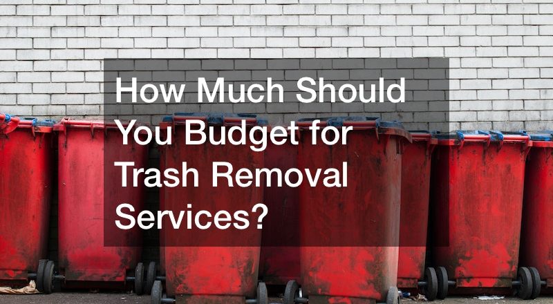How Much Should You Budget for Trash Removal Services?