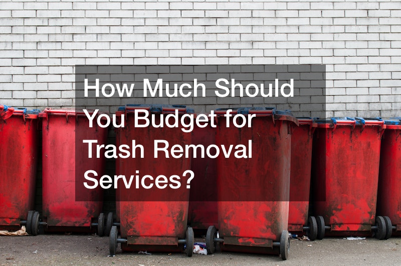 How Much Should You Budget for Trash Removal Services?