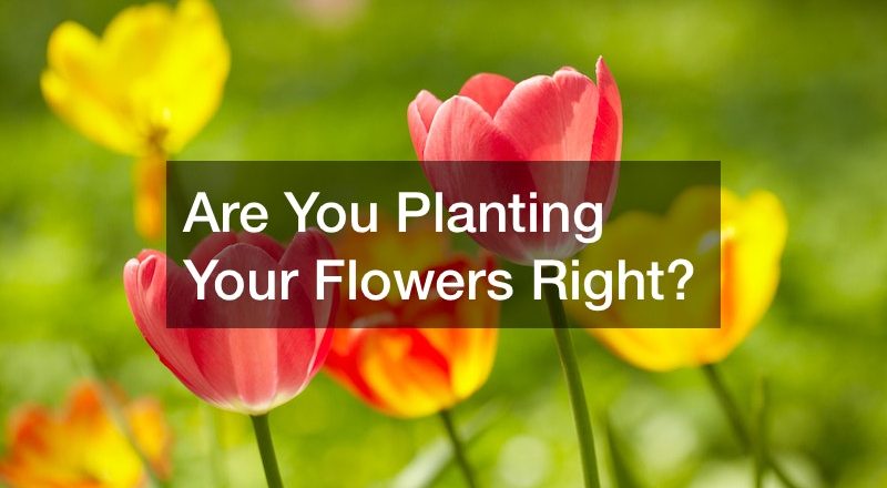 Are You Planting Your Flowers Right?