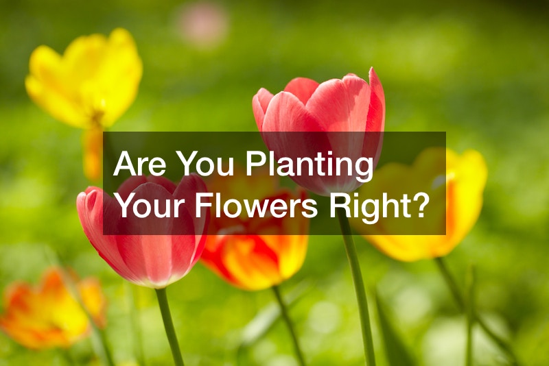 Are You Planting Your Flowers Right?