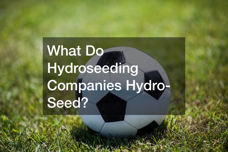 What Do Hydroseeding Companies Hydro-Seed?