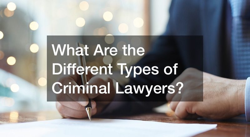 What Are the Different Types of Criminal Lawyers?
