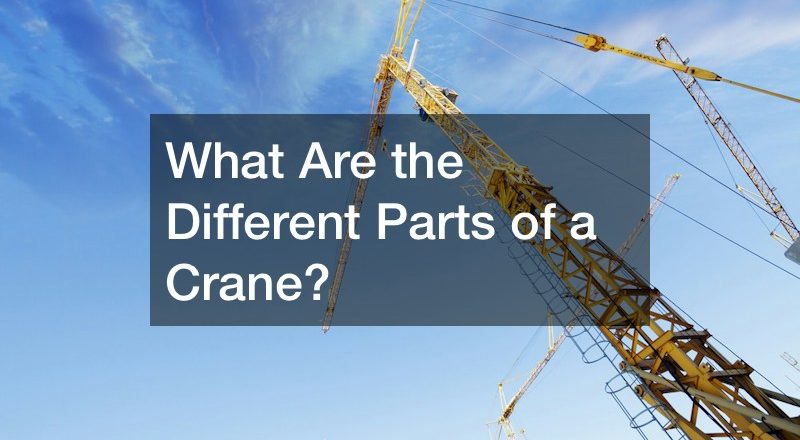 What Are the Different Parts of a Crane?