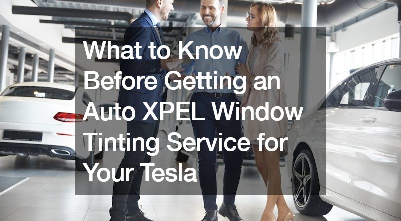What to Know Before Getting an Auto XPEL Window Tinting Service for Your Tesla