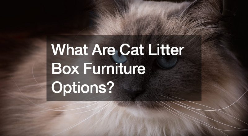 What Are Cat Litter Box Furniture Options?