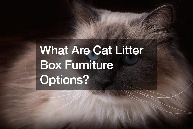 What Are Cat Litter Box Furniture Options?