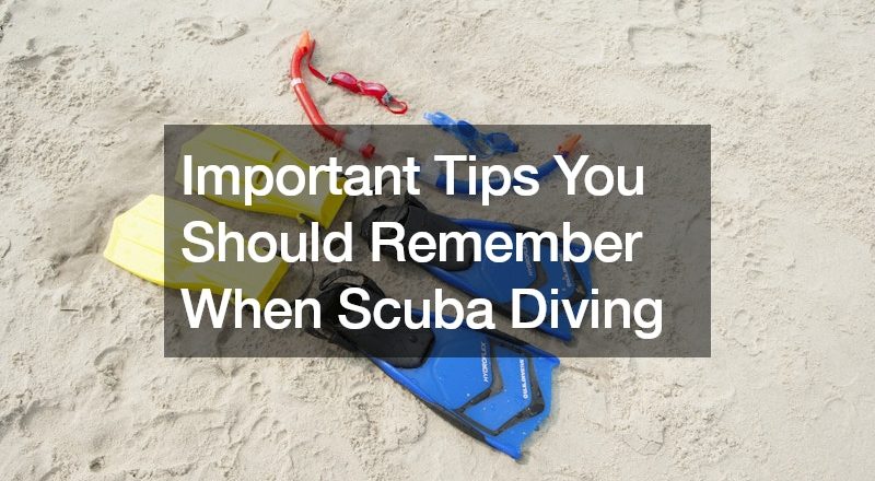 Important Tips You Should Remember When Scuba Diving