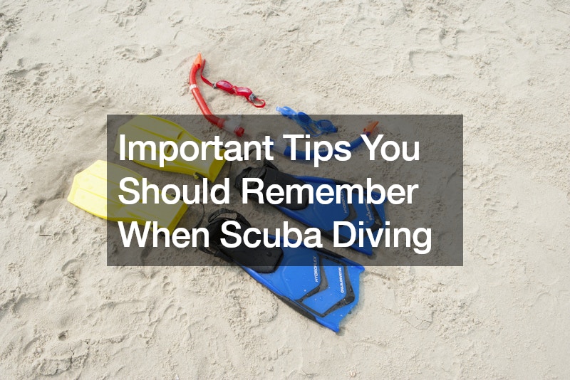 Important Tips You Should Remember When Scuba Diving