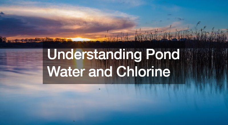 Understanding Pond Water and Chlorine