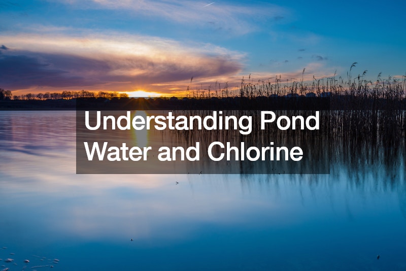 Understanding Pond Water and Chlorine