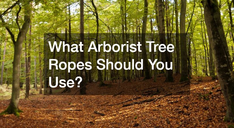 What Arborist Tree Ropes Should You Use?