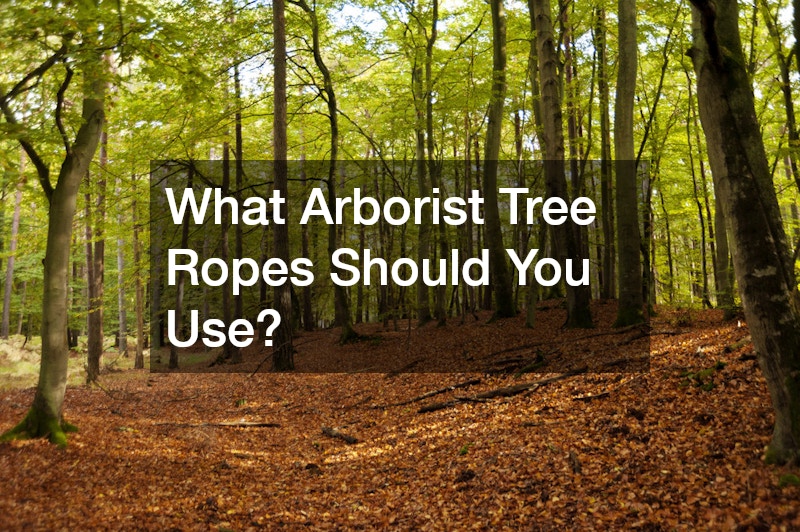 What Arborist Tree Ropes Should You Use?