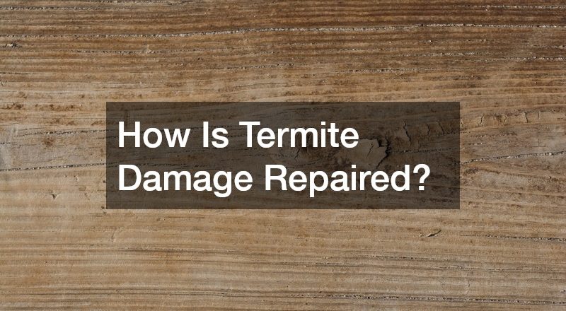 How Is Termite Damage Repaired?