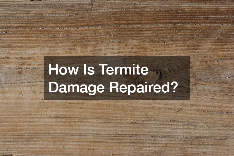 How Is Termite Damage Repaired?