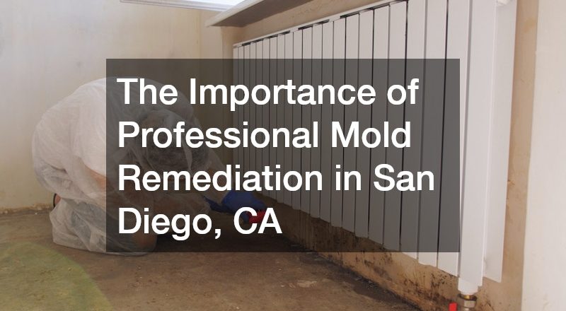The Importance of Professional Mold Remediation in San Diego, CA