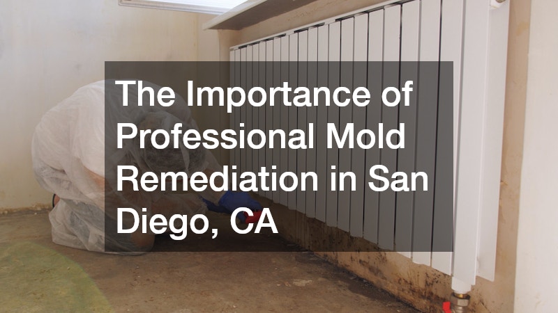 The Importance of Professional Mold Remediation in San Diego, CA